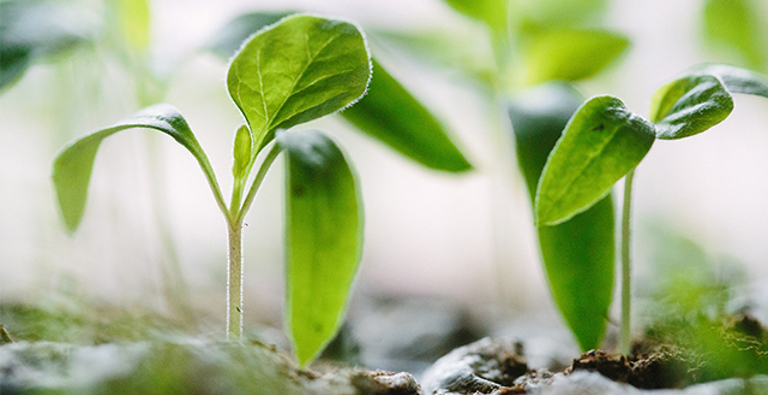 How CRM can help you in the Third Sector grow