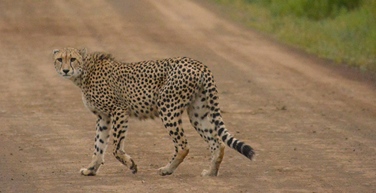 What Does Good CRM Software Look Like? What Does Good CRM Software Look Like?